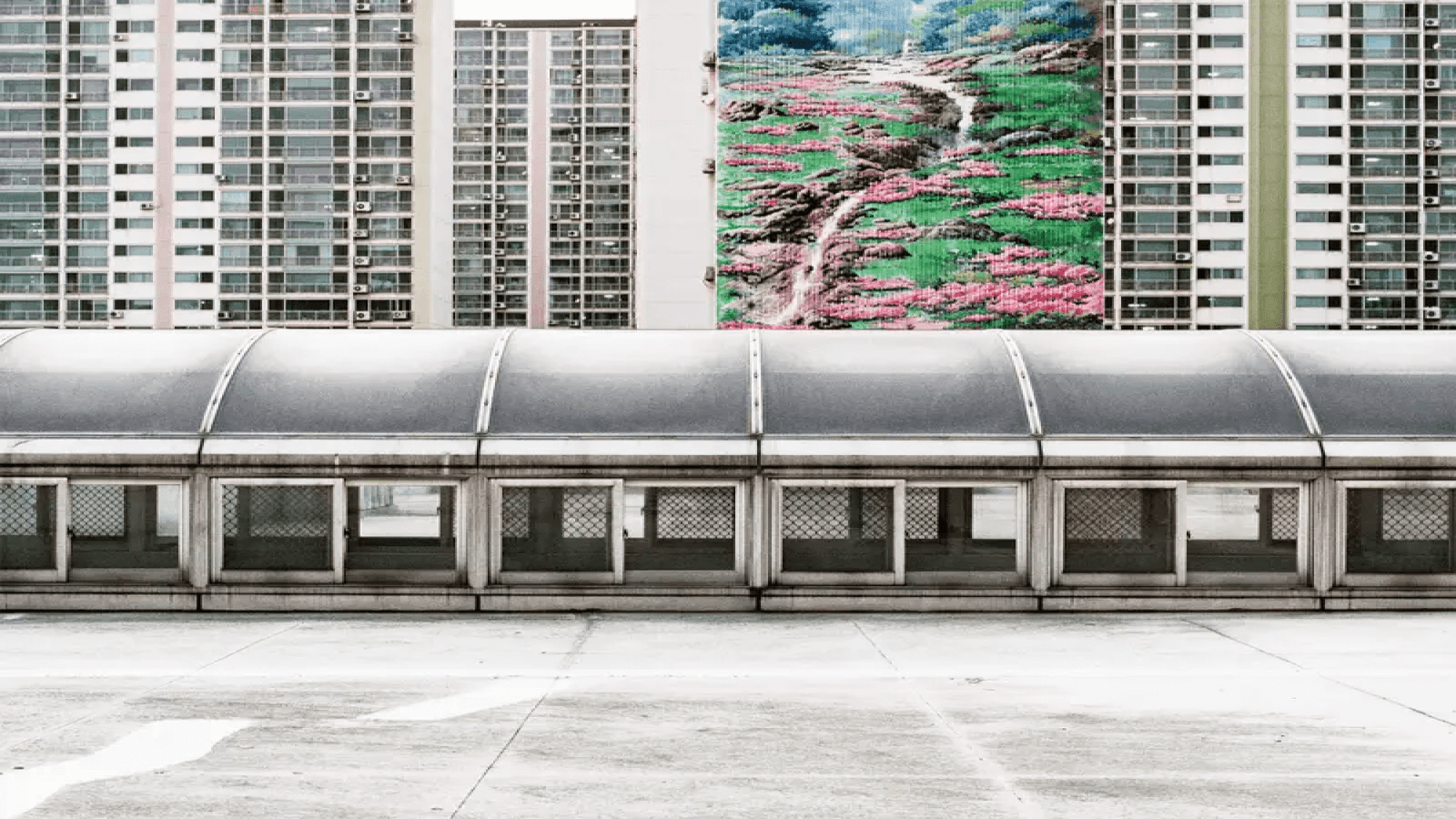 Urban Nature Photography Solo Exhibition at TUV Rheinland Gallery in Seoul