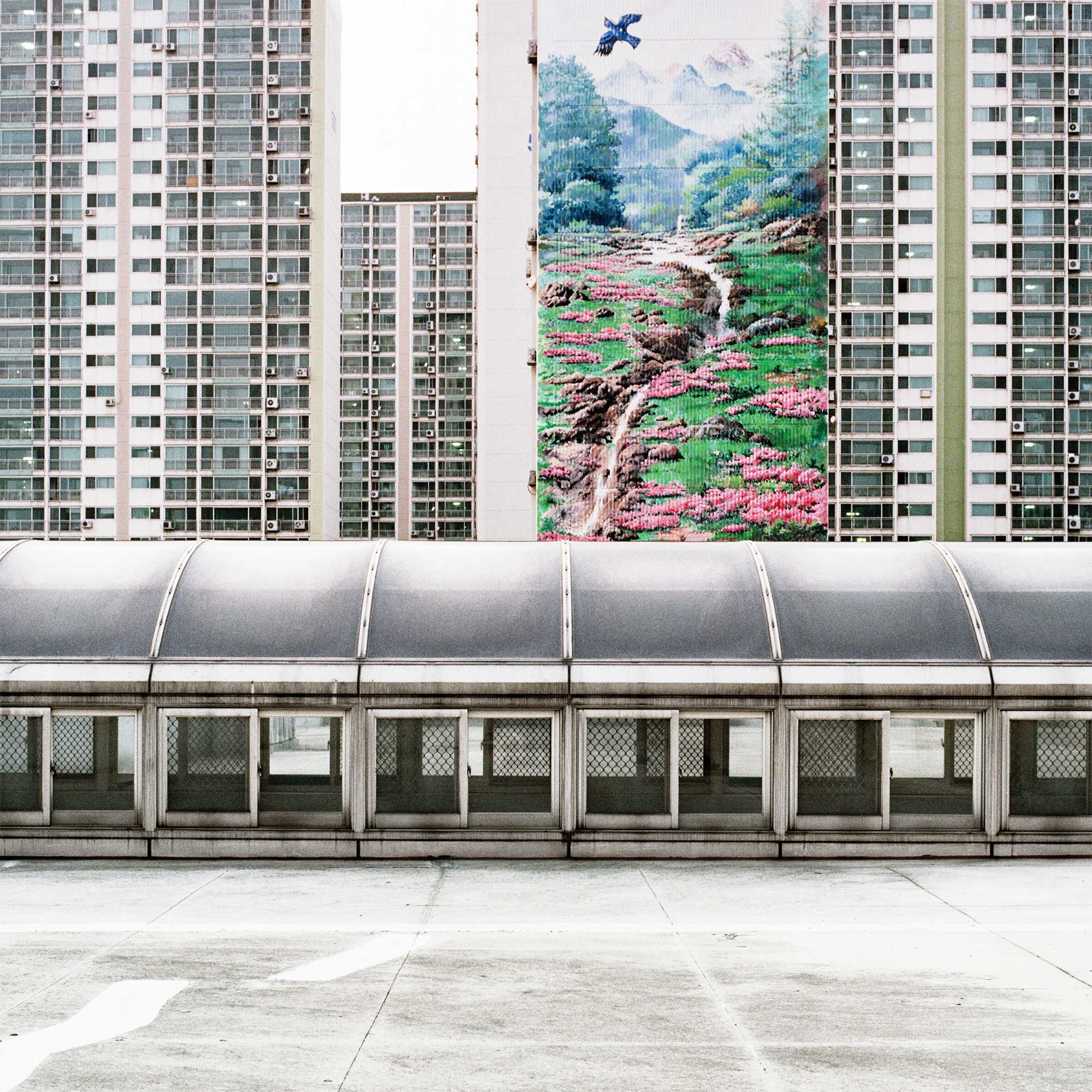 Urban Nature — Solo Photography Exhibition, Seoul