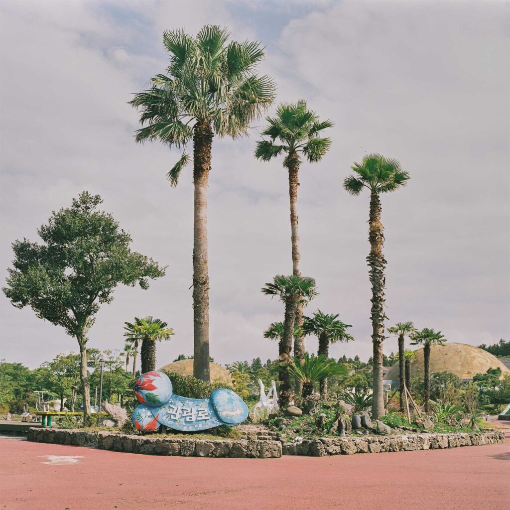 Palm trees reaching for the sky mark the entrance to Loveland sculpture park, Jejudo Island, South Korea