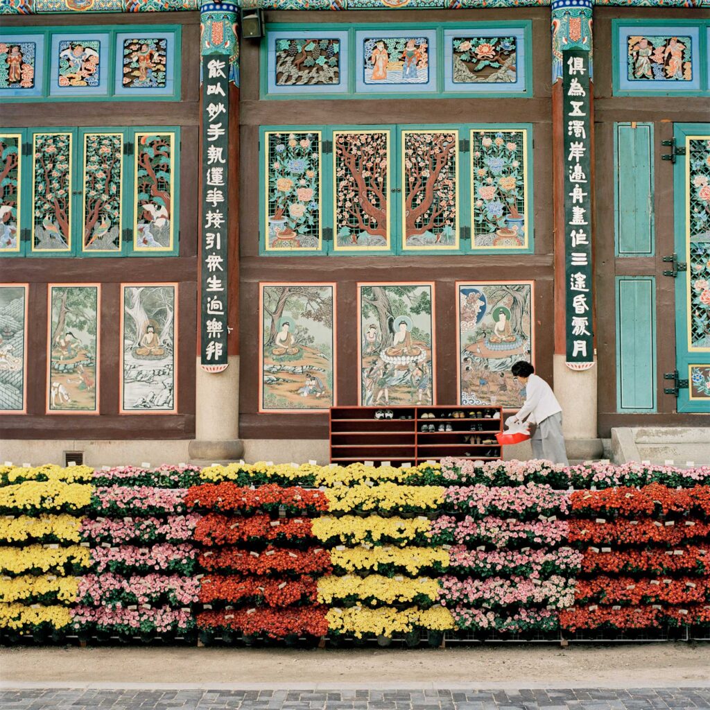 A colorful Buddhist temple facade adorned with intricate paintings and complemented by blossoming flowers in Jongro, Seoul, South Korea, creating a serene atmosphere