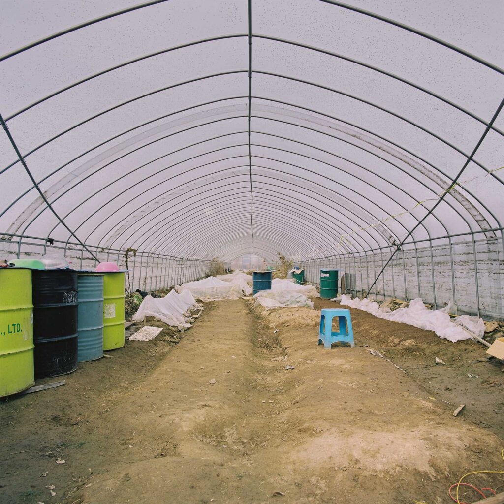 Steel round containers in a greenhouse on the outskirts of Seoul, Korea, for storage