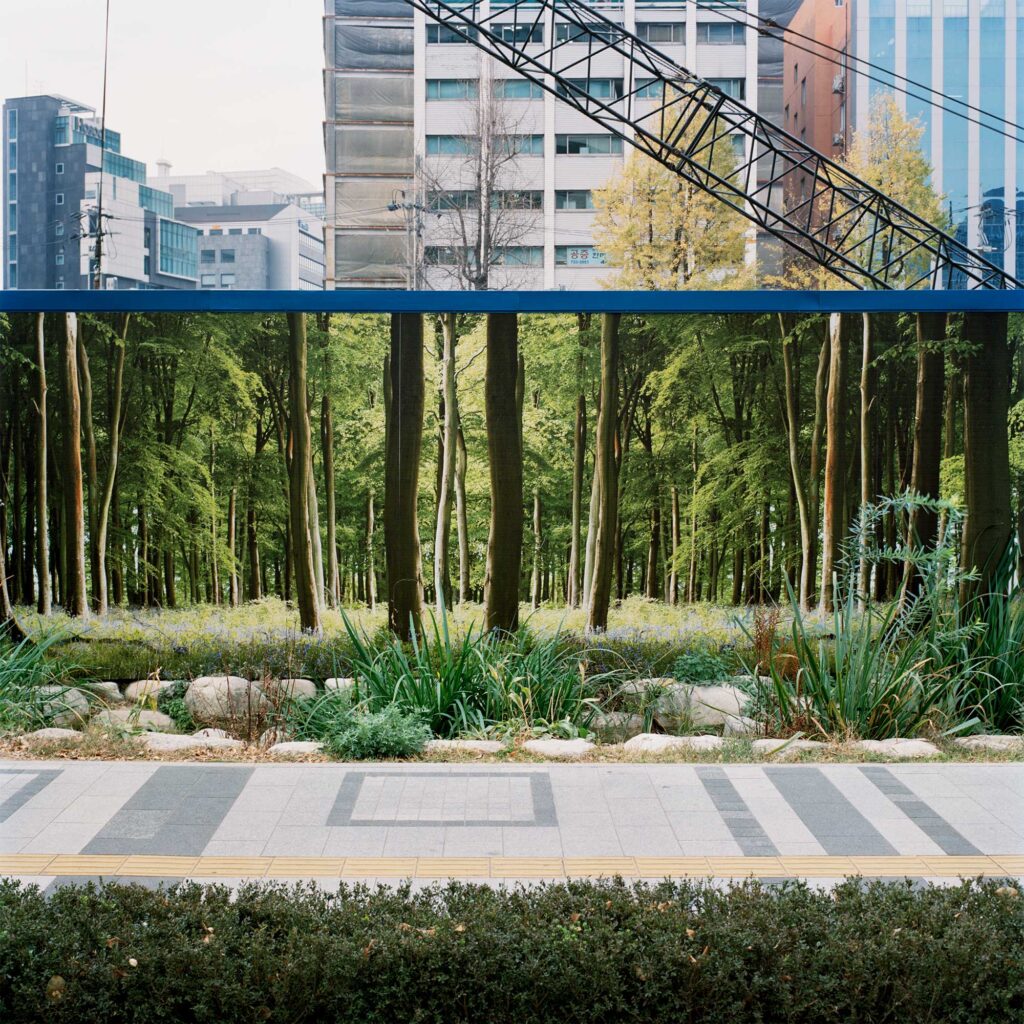 A construction site in Seoul, South Korea, fenced off with a fence displaying a lush forest environment, contrasting with the urban setting