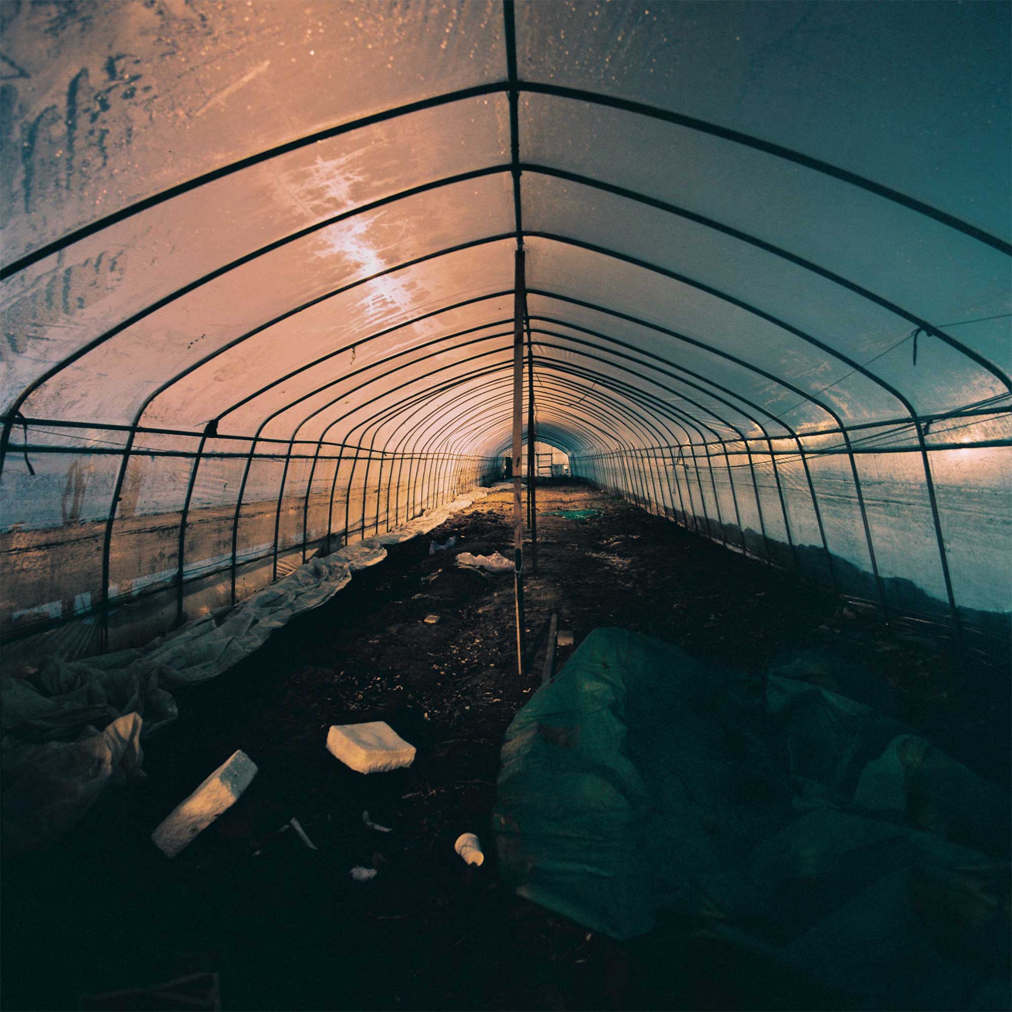 A Seoul greenhouse at night, scattered trash reflecting in streetlight's yellow glow