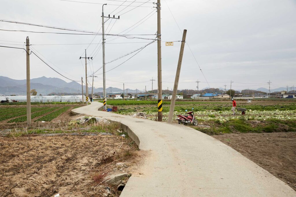 A curvy small road winding through the rice fields in Bongdong, South Korea.