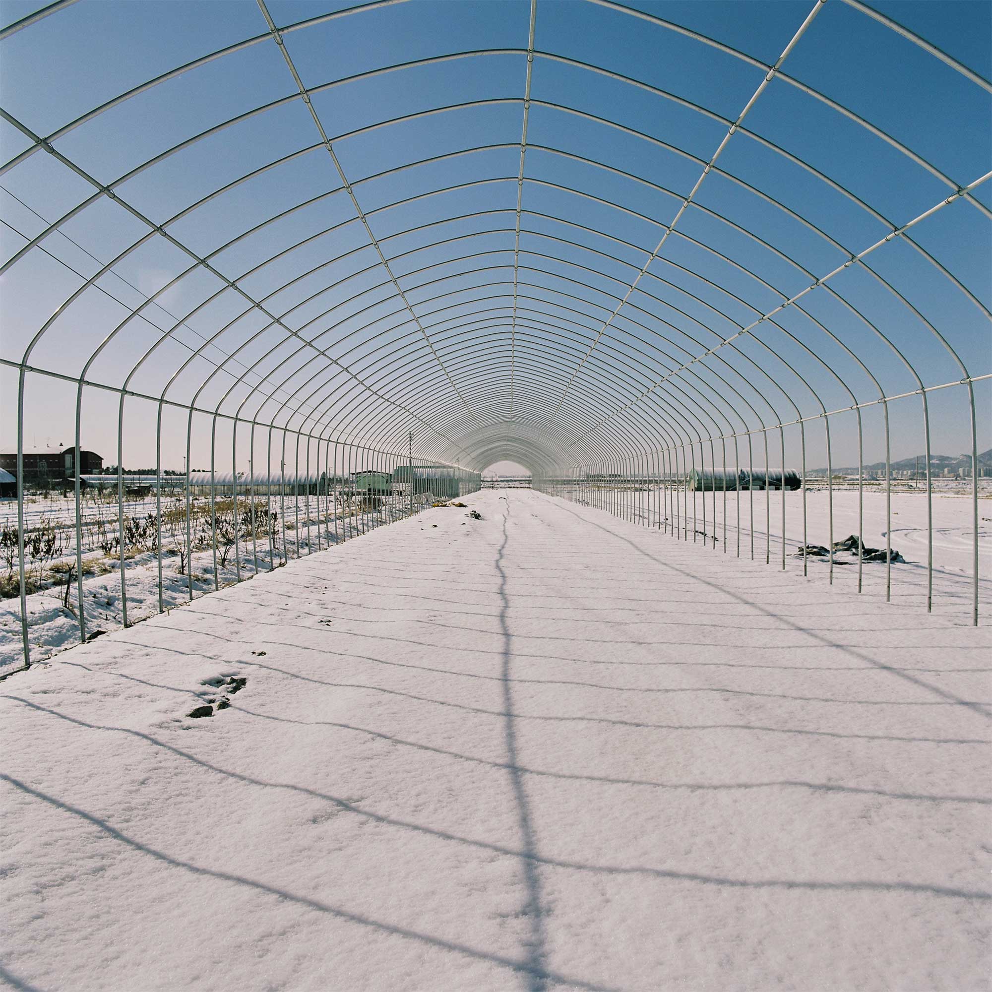 The snow-covered soil of a greenhouse in Seoul's outskirts hints at its temporary abandonment, with its plastic cover removed