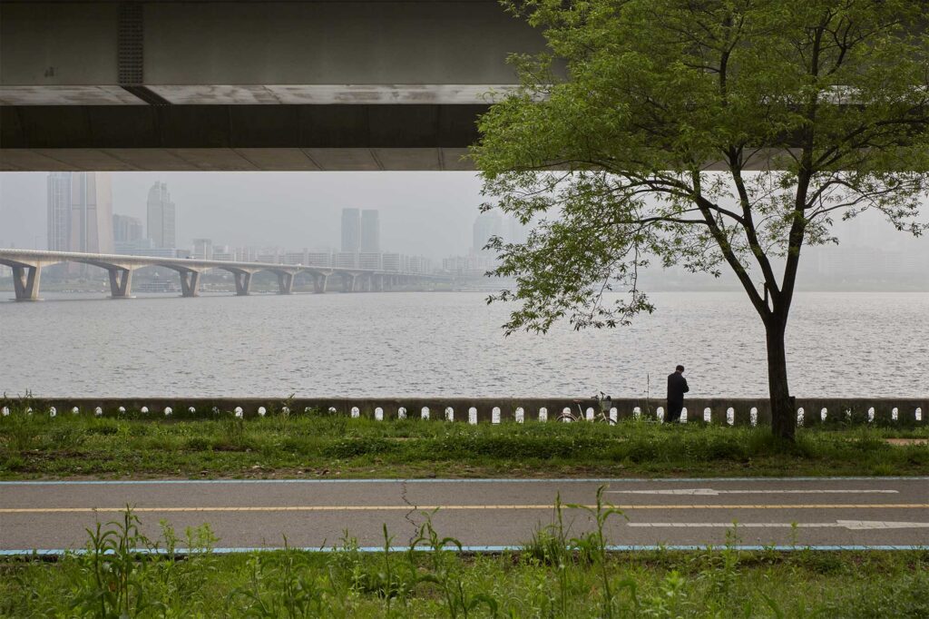 A solitary man under a tree near a bridge over the Han River in Seoul, South Korea