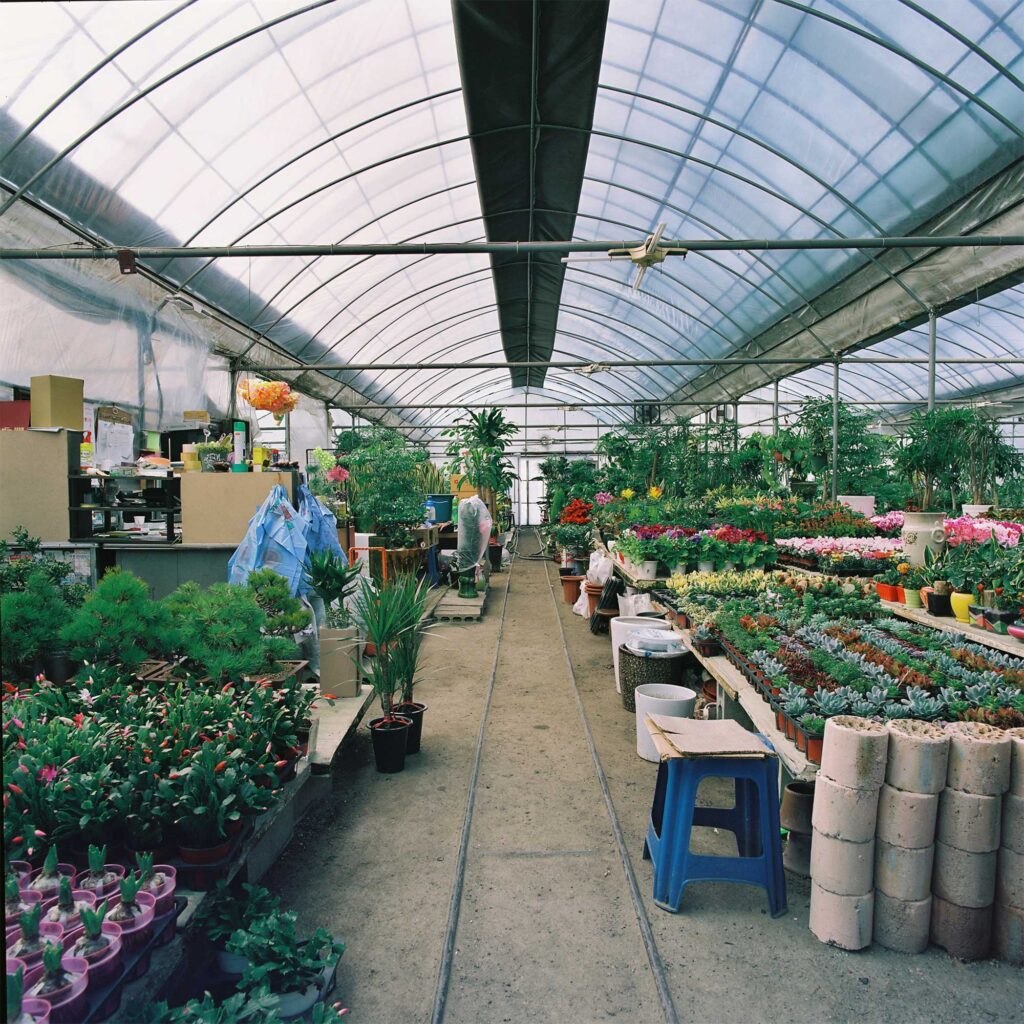 A plant and flower shop occupies a greenhouse in the outskirts of Seoul, South Korea
