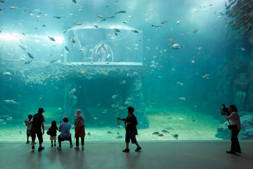 Russia’s National Day event at the World Exhibition in Yeosu, South Korea, showcasing an aquarium with various types of fish in the Russian Expo Pavilion.