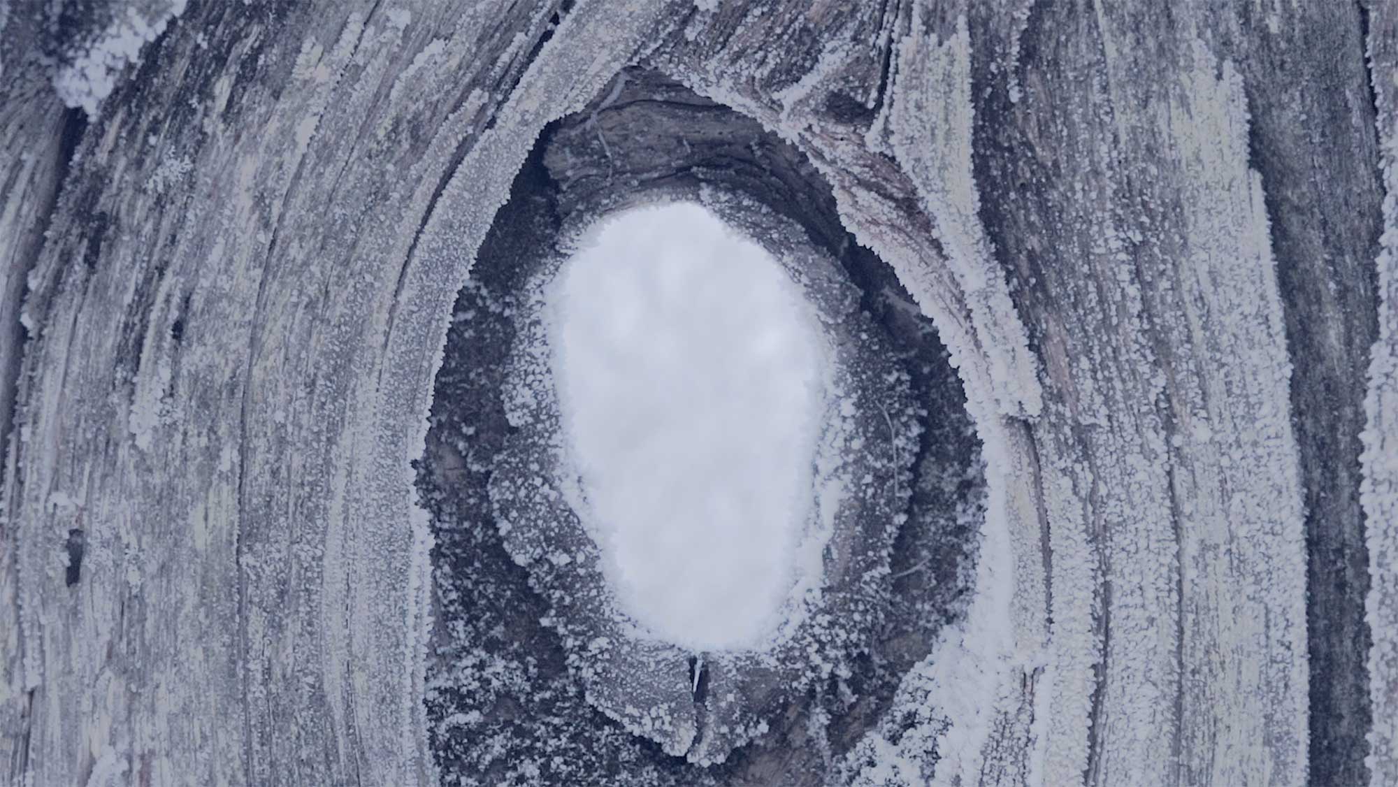 Memories of an Artisan: Filming Traditional Craft in Korea