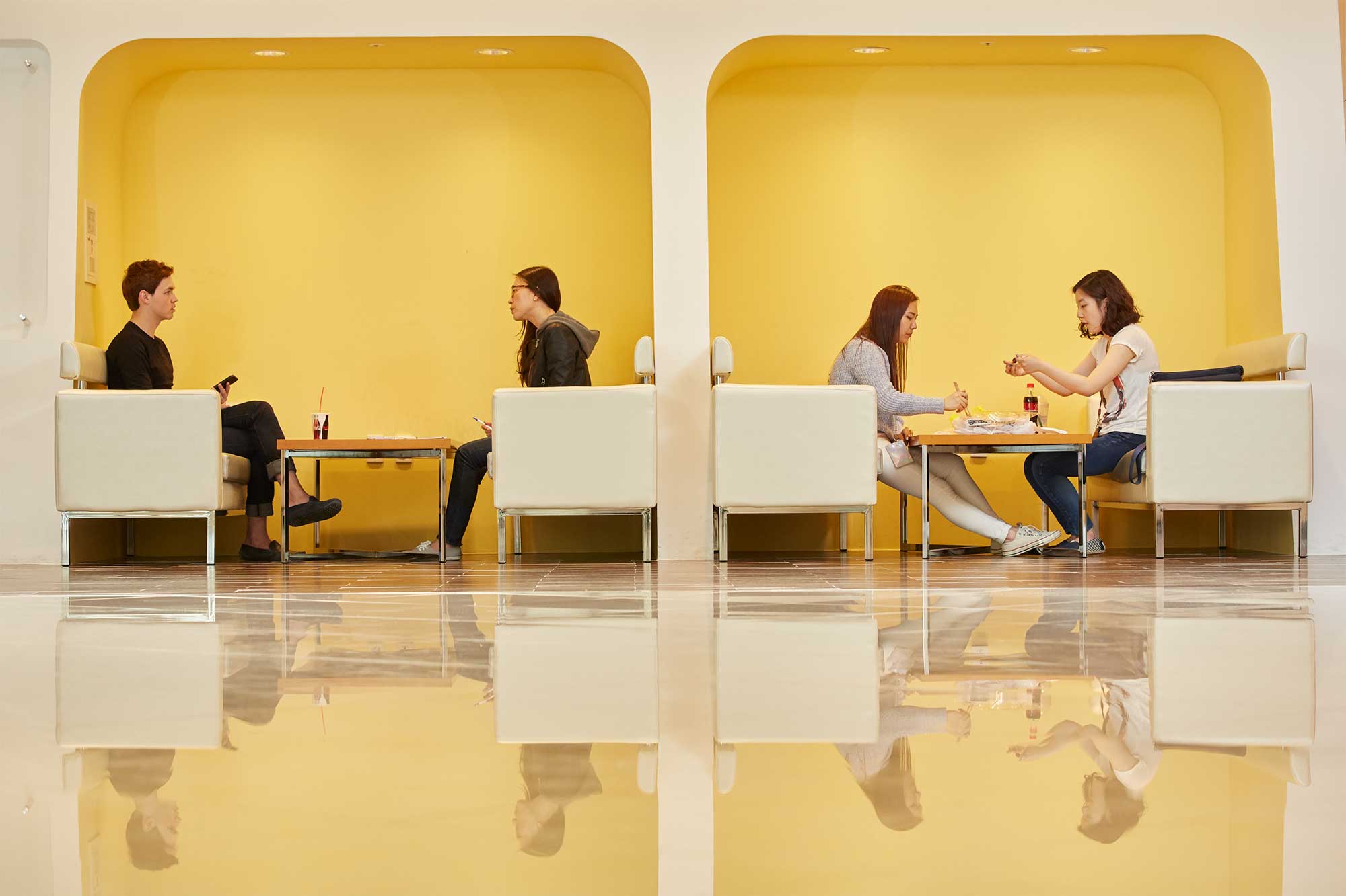 Documenting Academic Life at UIC and Yonsei University