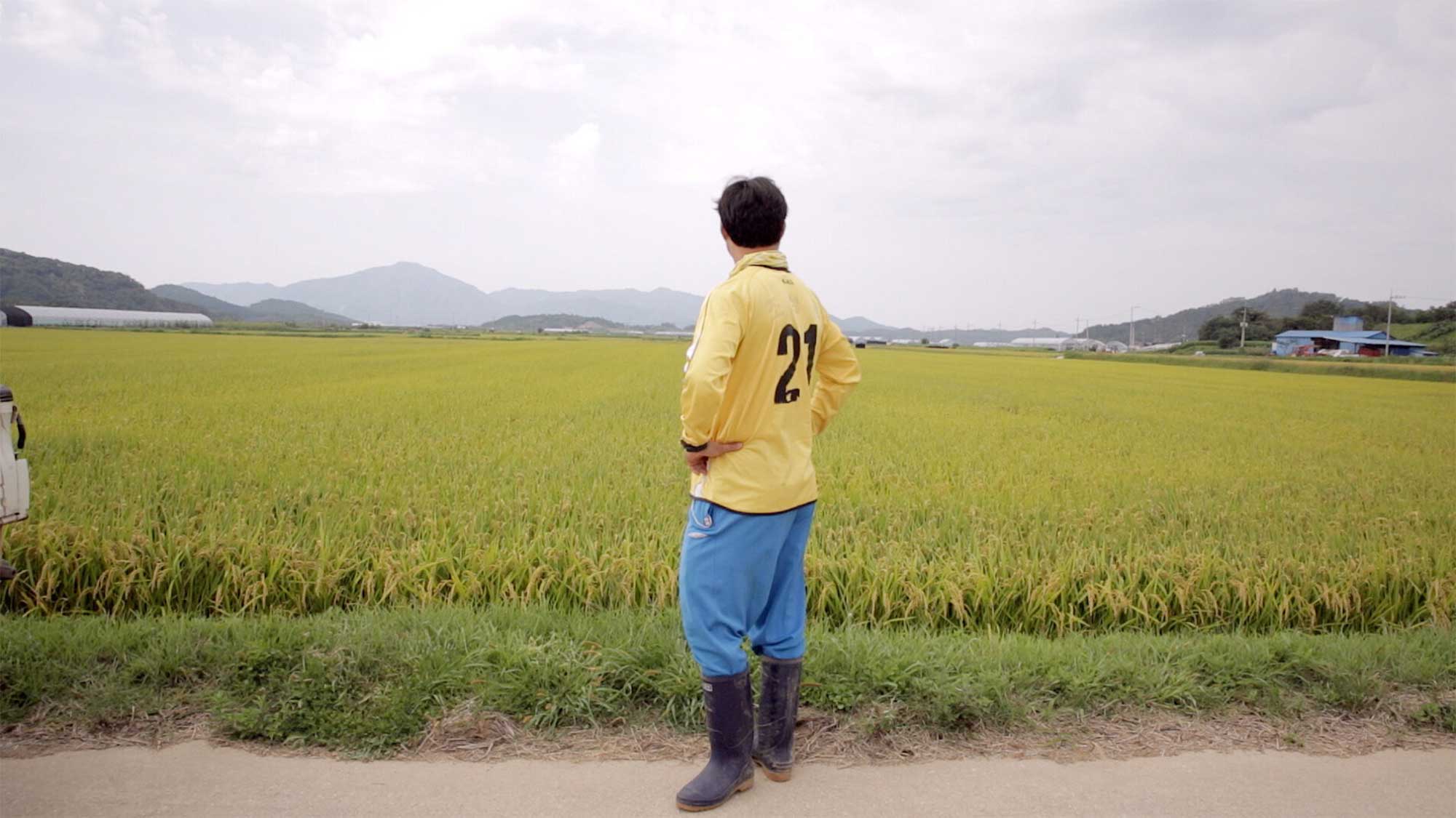Young farmer from small village Yangjiri near Cherwon, Kangwando Province, overlooks rice fields, skeptical of foreign artist residents putting up Jesus crosses in short film ART ATTACK.