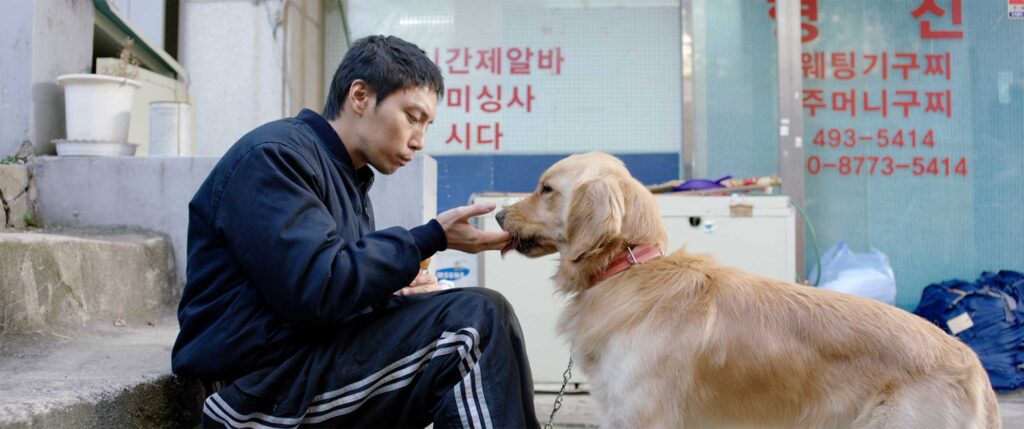 Kwang Lee, an ethnic Korean Chinese homeless immigrant in Seoul, unknowingly feeds his golden retriever Nutella, unaware of what’s to come.