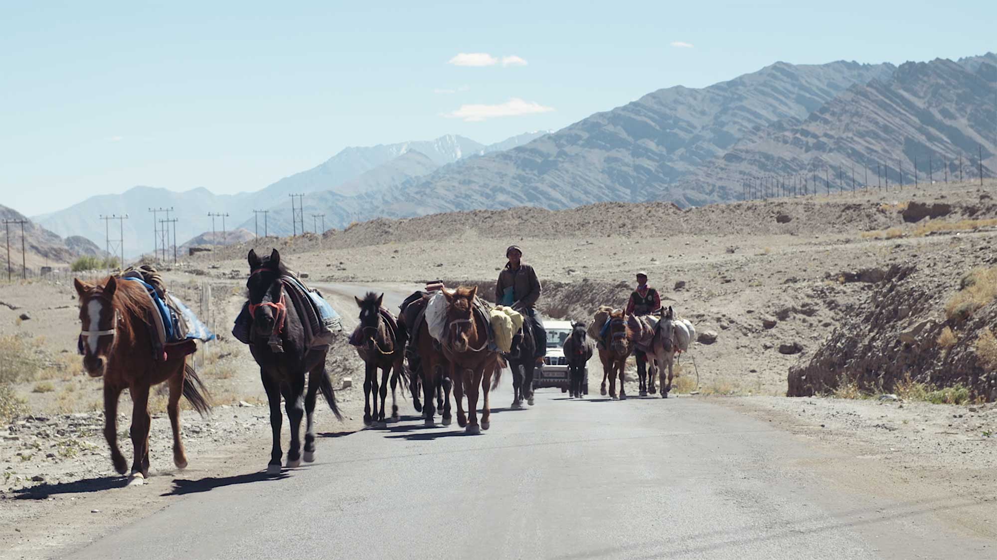 A group of horses carrying loads is led along a landscape road near Leh, Ladakh, India.