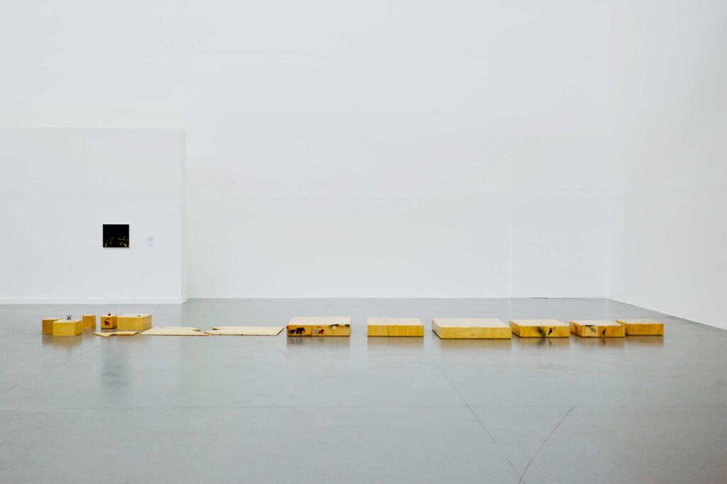 Installation art piece at Irony & Idealism exhibition at Gyeonggi Museum of Modern Art, South Korea, features narrow wooden boxes with prints of African wild animals arranged in row.