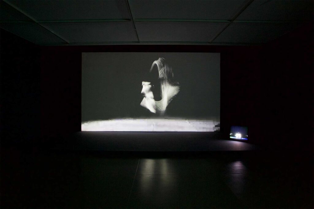 Video installation at Irony & Idealism exhibition at Gyeonggi Museum of Modern Art, South Korea, in dark space, displays black and white video of abstract shape dancing above ground.