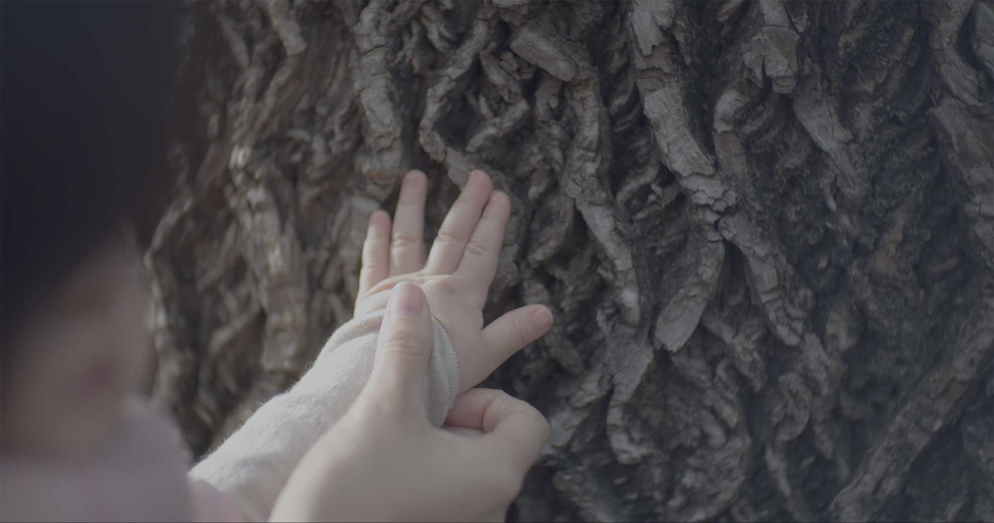 Mother guiding baby’s hand over tree bark texture in Samsung Life Insurance video