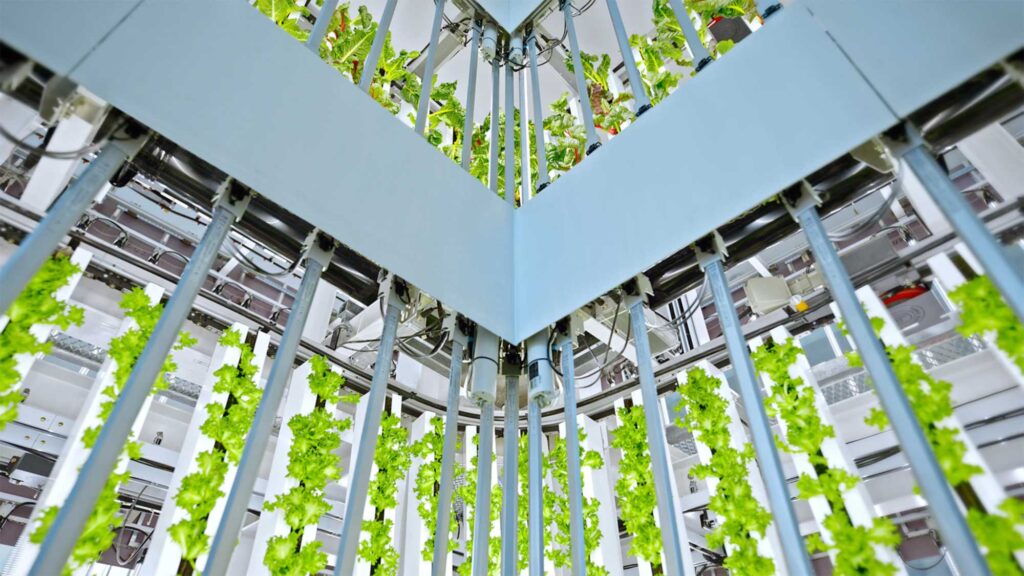 Rotating carousel grow system inside Smart Farm environment.