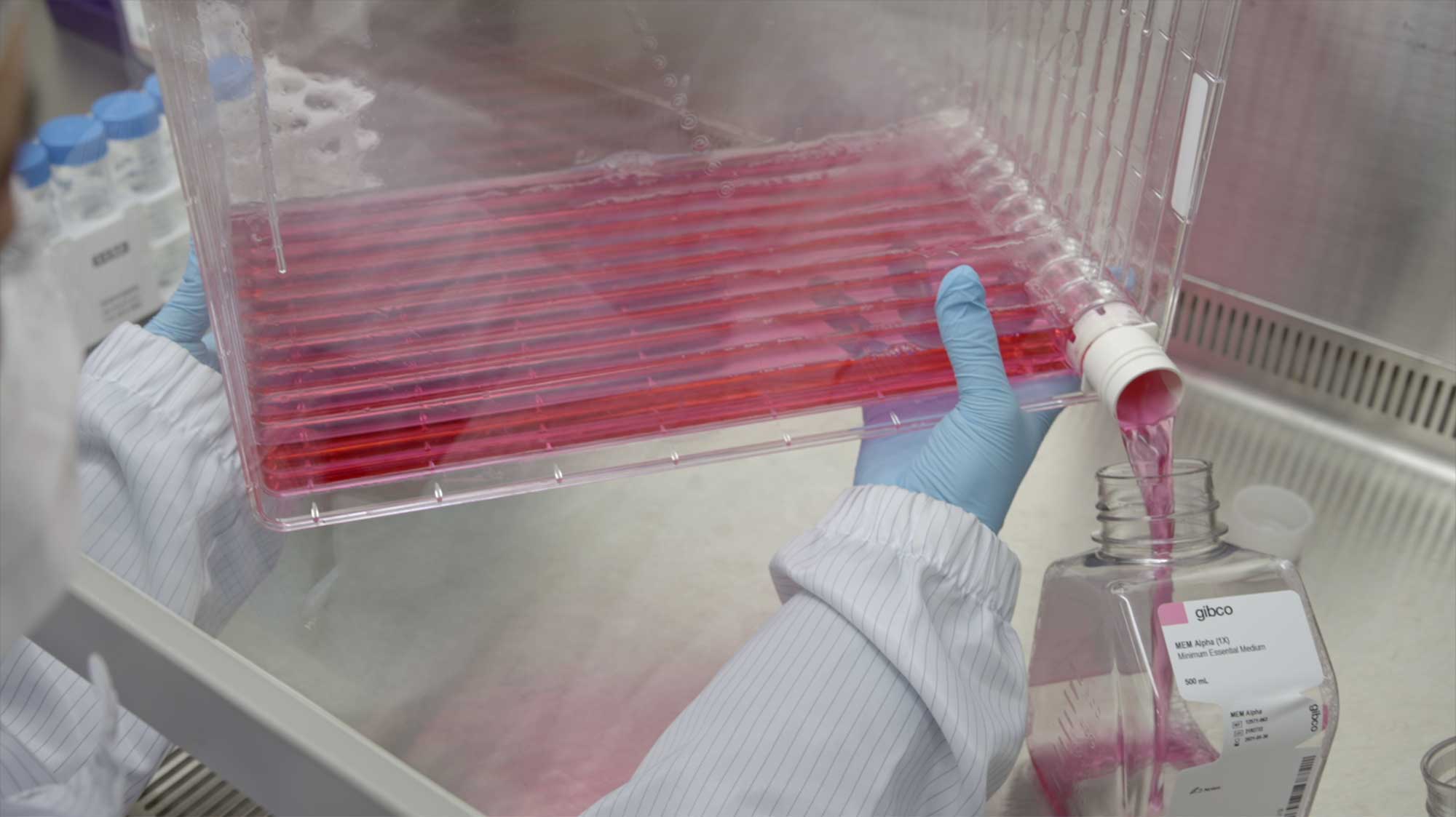 Gloved scientist pours red exosome fluid into container in Seoul lab.