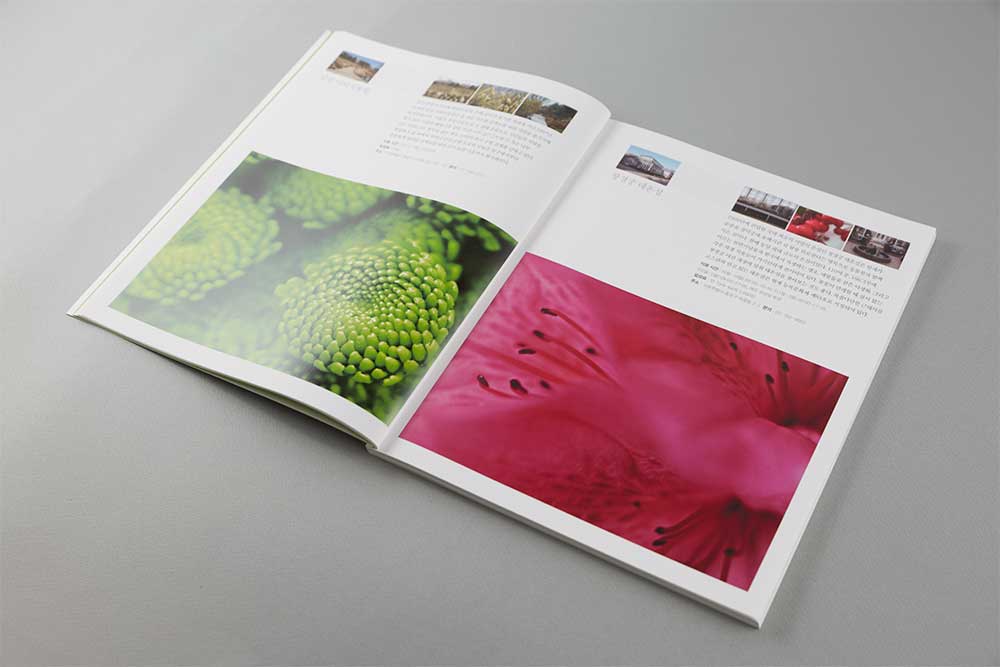 Spring Flora in Seoul — Photography for LS Networks