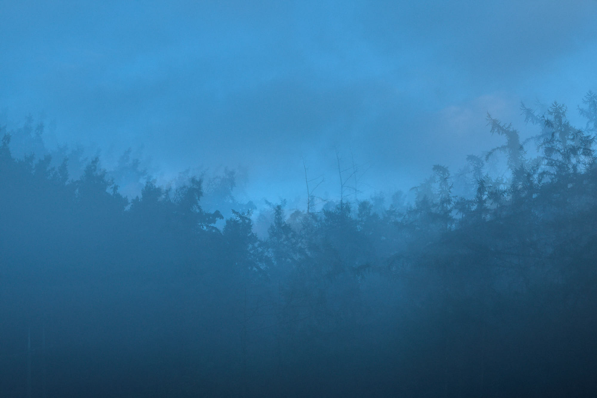 Misty forest landscape surrounding Myök at blue hour