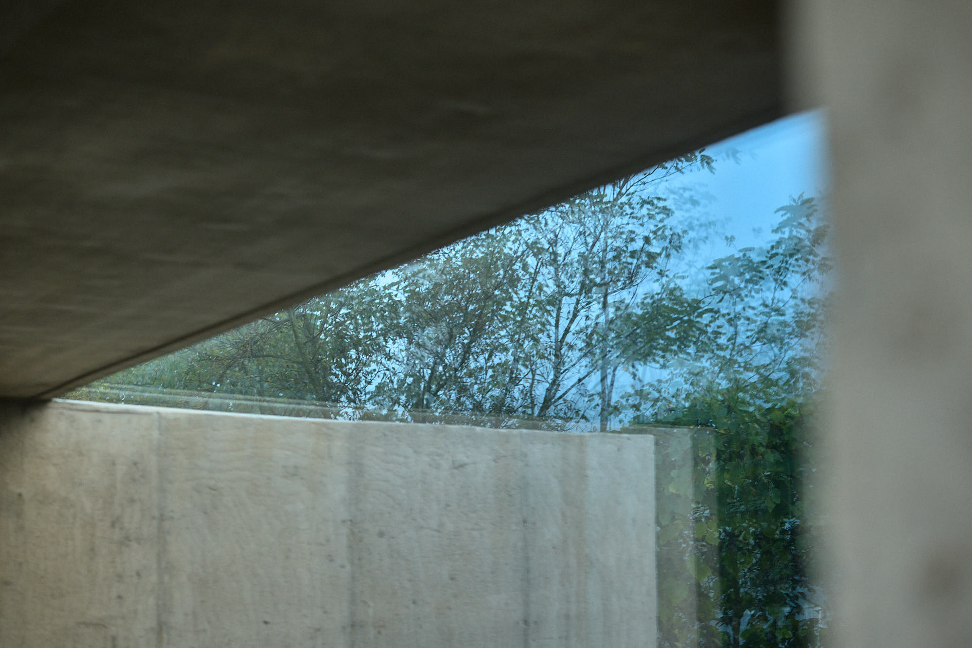 Trees reflected across glass and concrete at Myök bathhouse