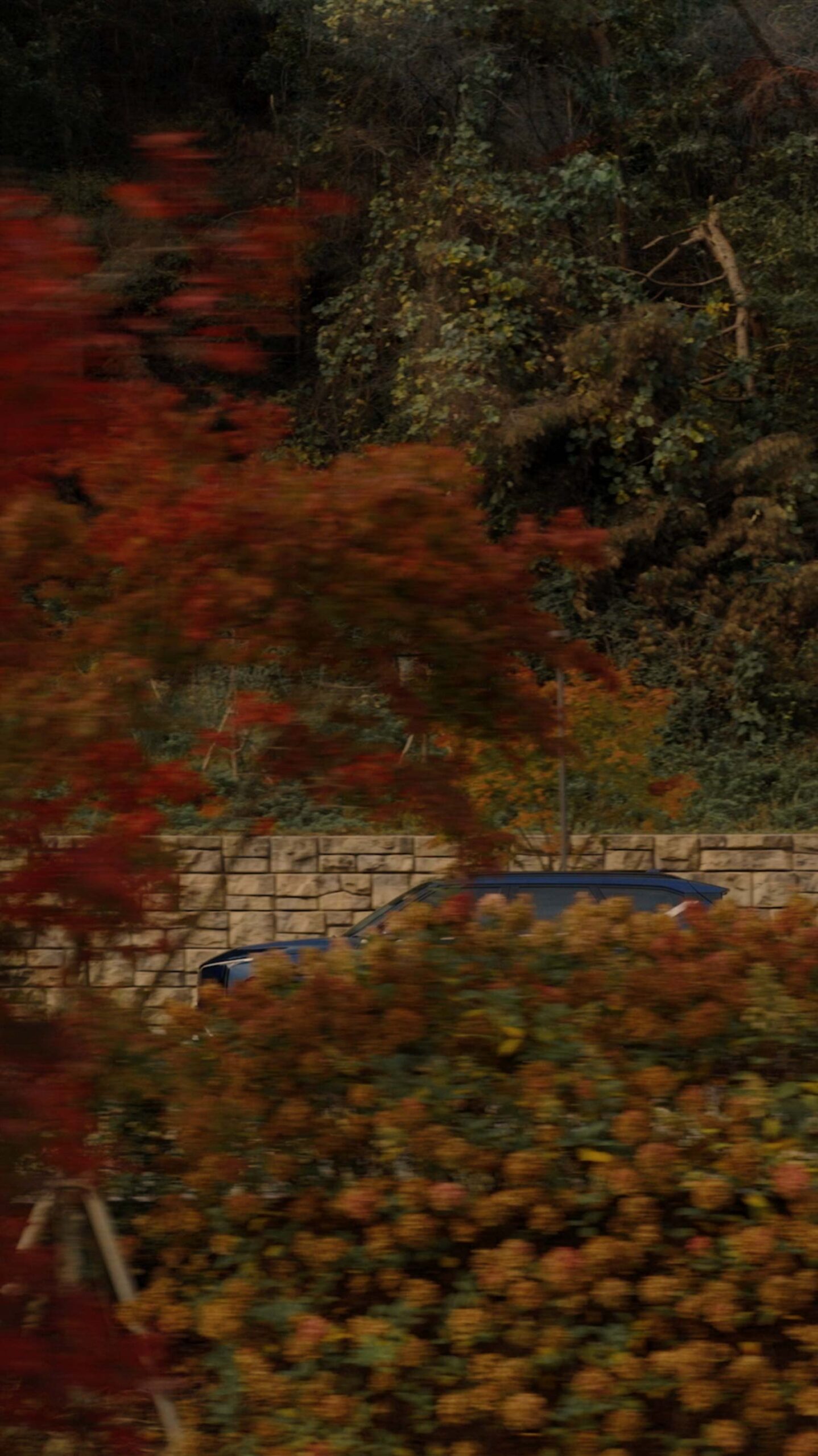 Kia EV5 driving through the autumn landscape at Médongaule in Yangpyeong