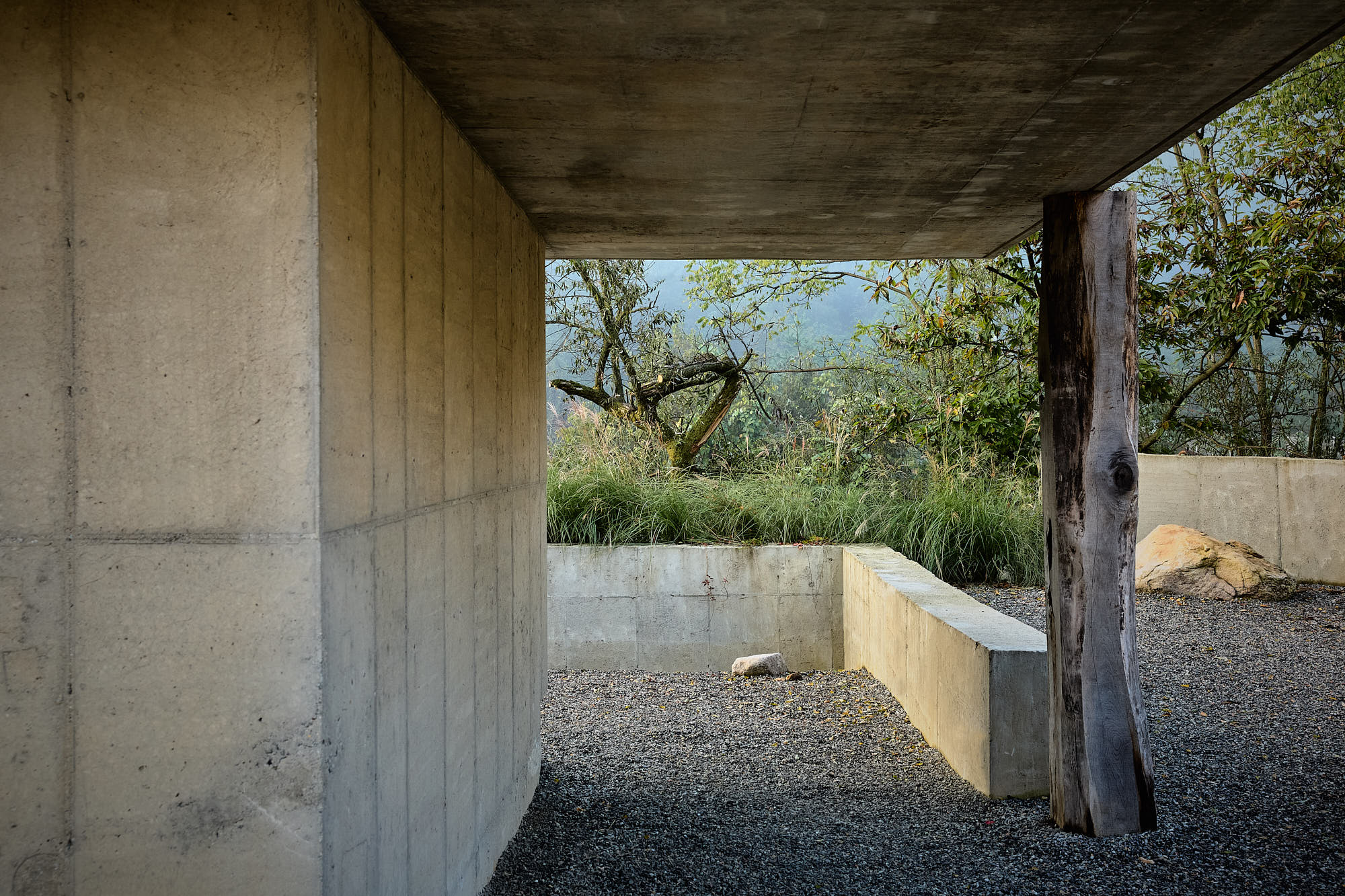 Myök concrete architecture with timber column and landscaped courtyard