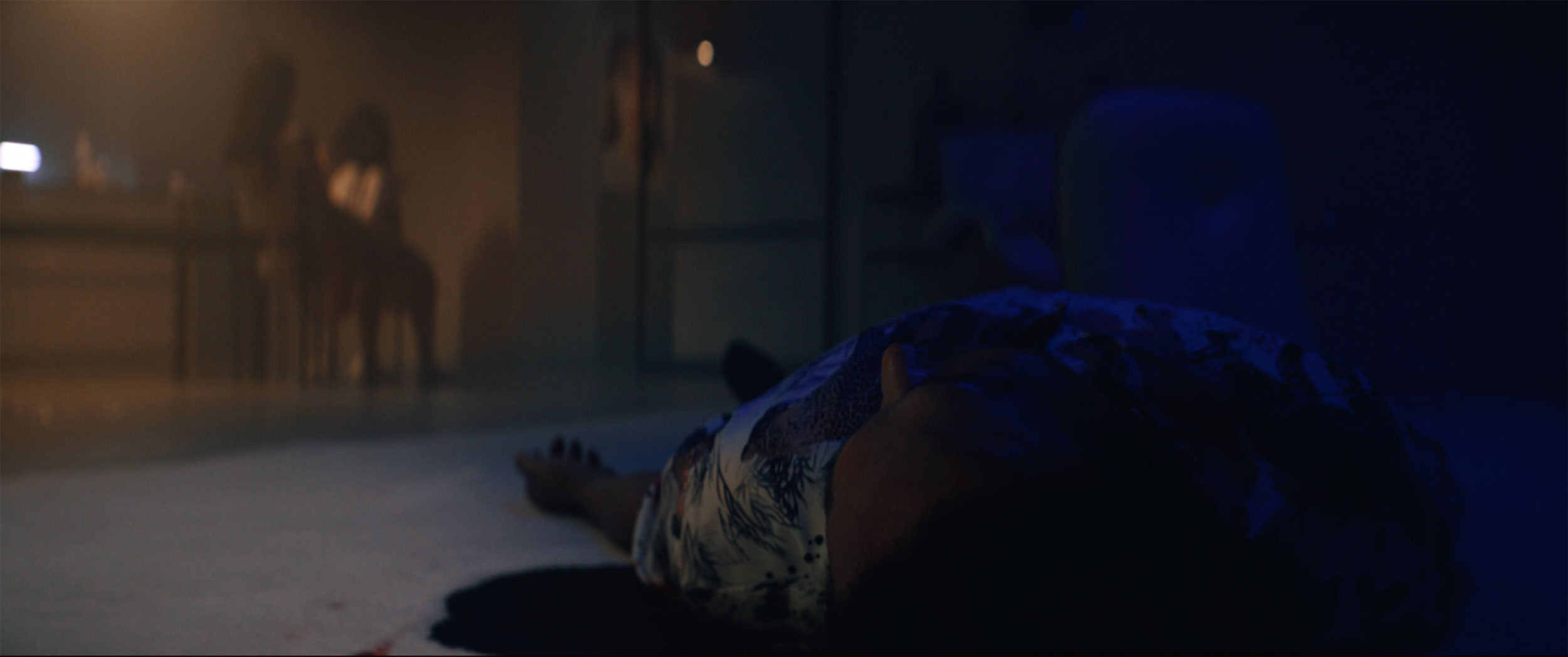 Home invasion aftermath illuminated by blue night light in IDOLS