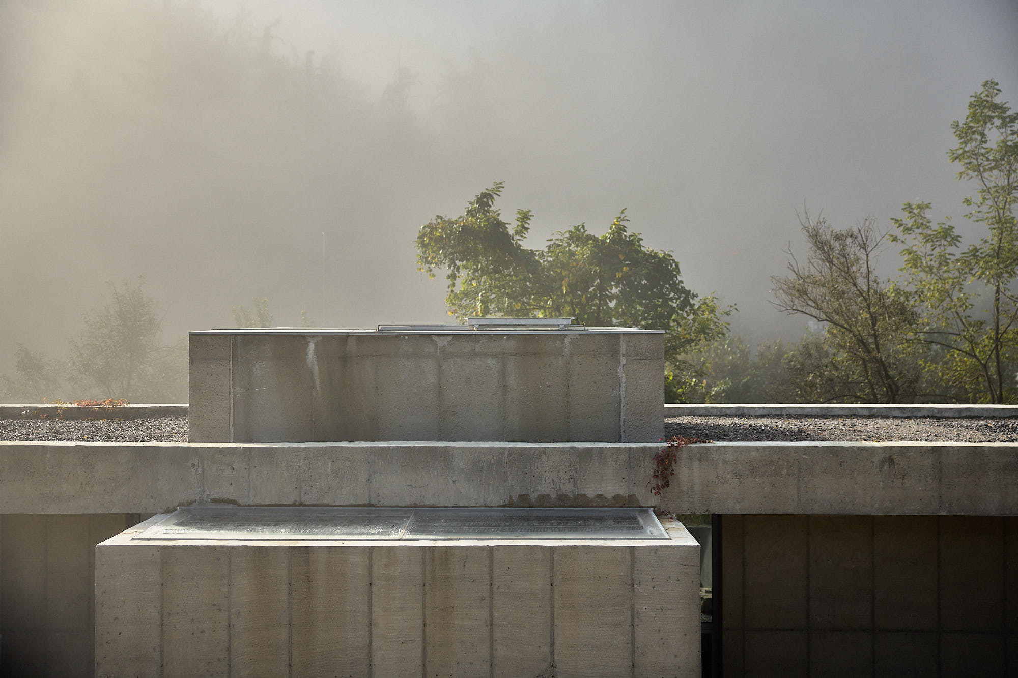 Myök concrete architecture emerging through morning mist