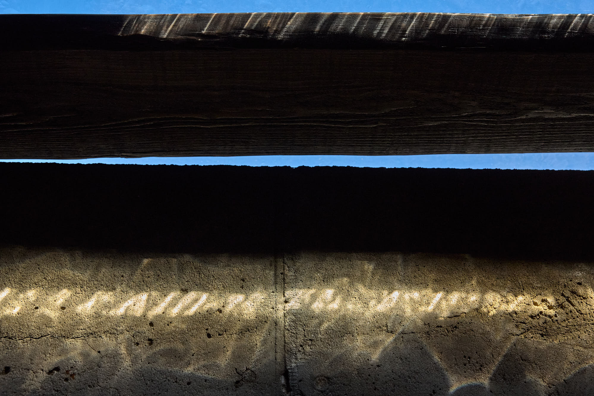 Sunlight patterns across concrete walls and timber beams at Myök