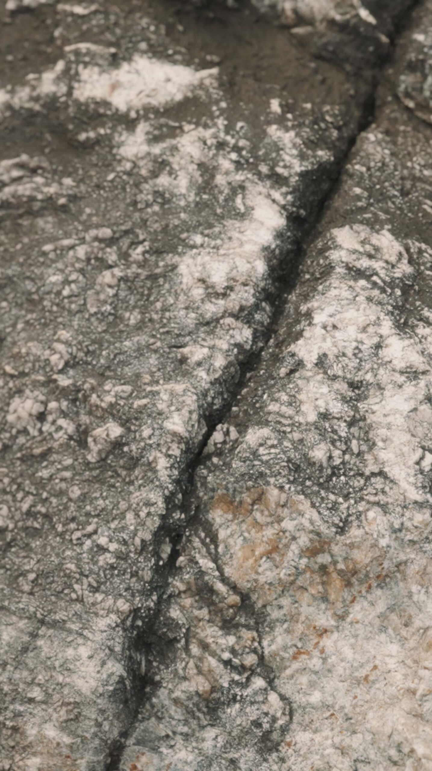 Close-up of natural stone in the landscaped gardens at Médongaule