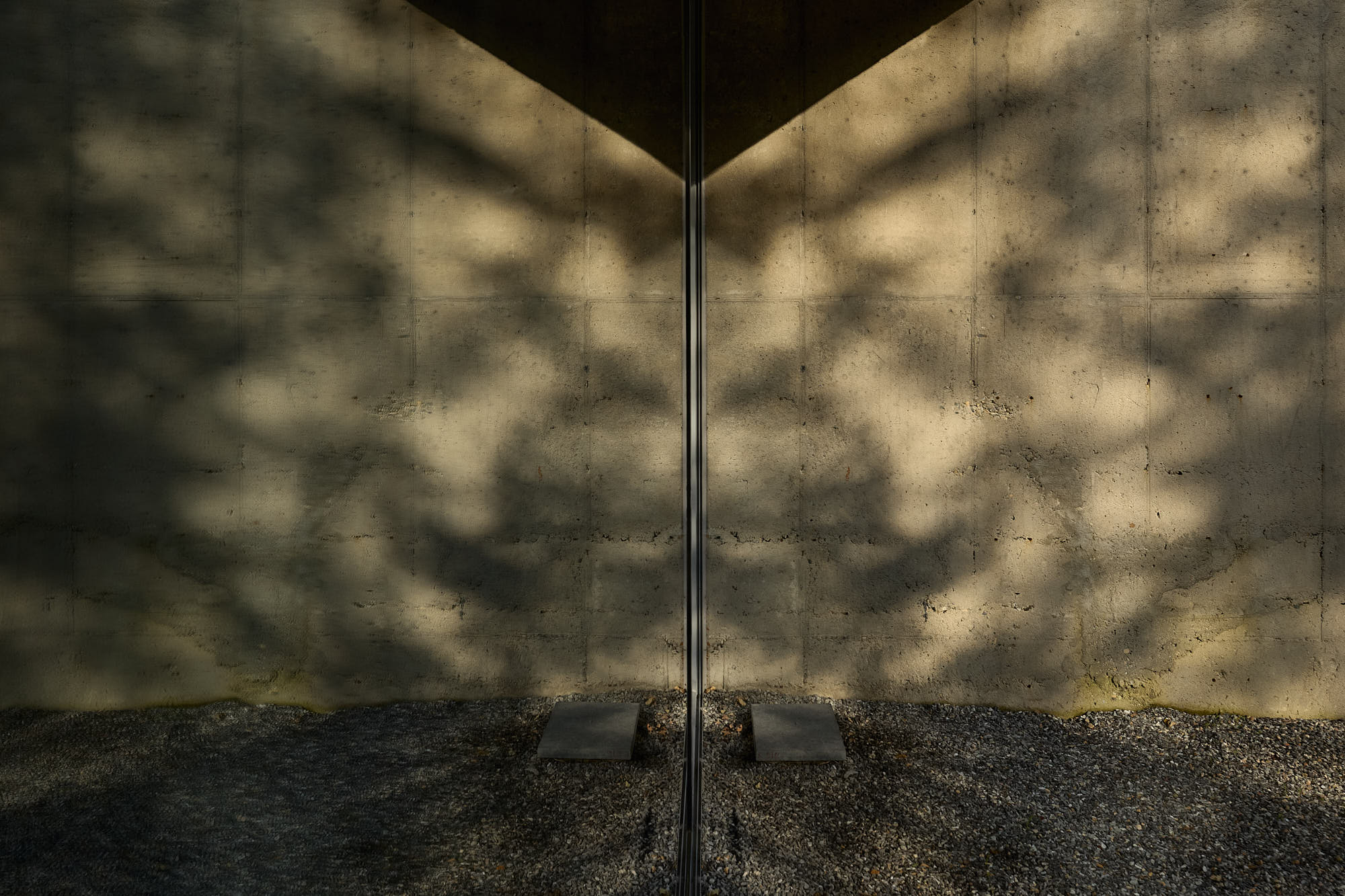 Tree reflections and shadows across glass and concrete at Myök
