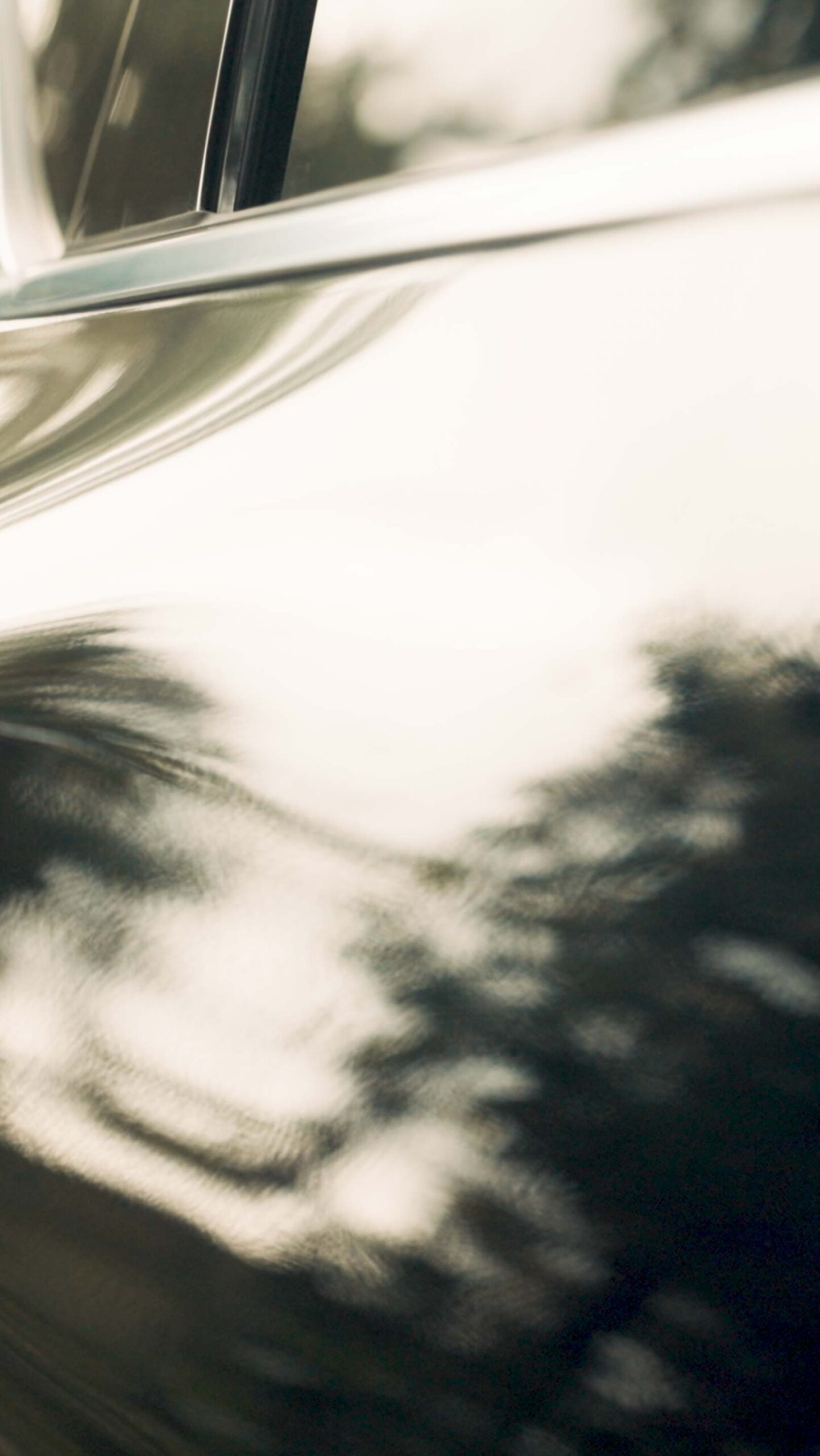 Abstract Kia EV5 bodywork reflecting trees near Médongaule